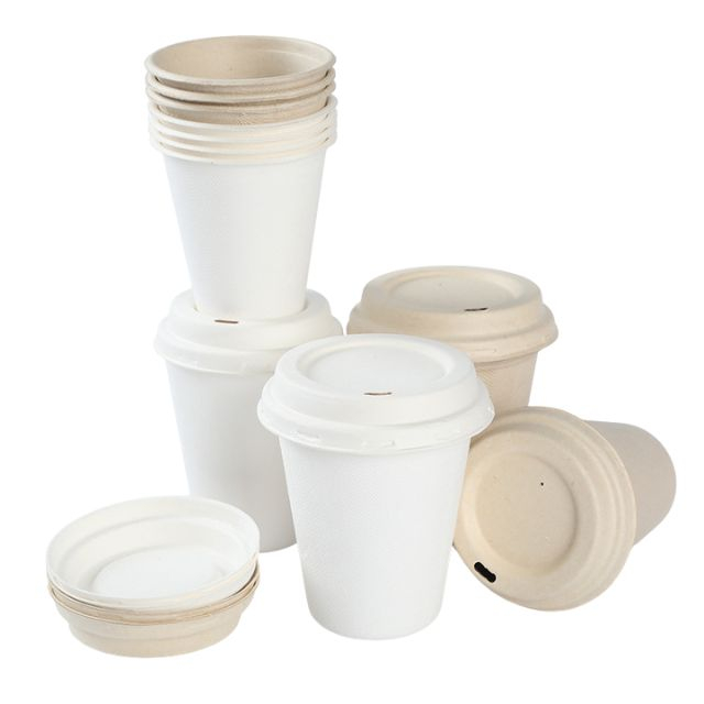 Vasos de papel de pulpa moldeada biodegradable con tapas al por mayor