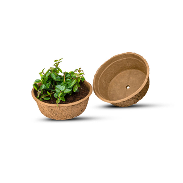 Pulpa para embalaje de plantas al por mayor