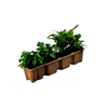 Pulpa para embalaje de plantas al por mayor