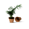 Pulpa para embalaje de plantas al por mayor